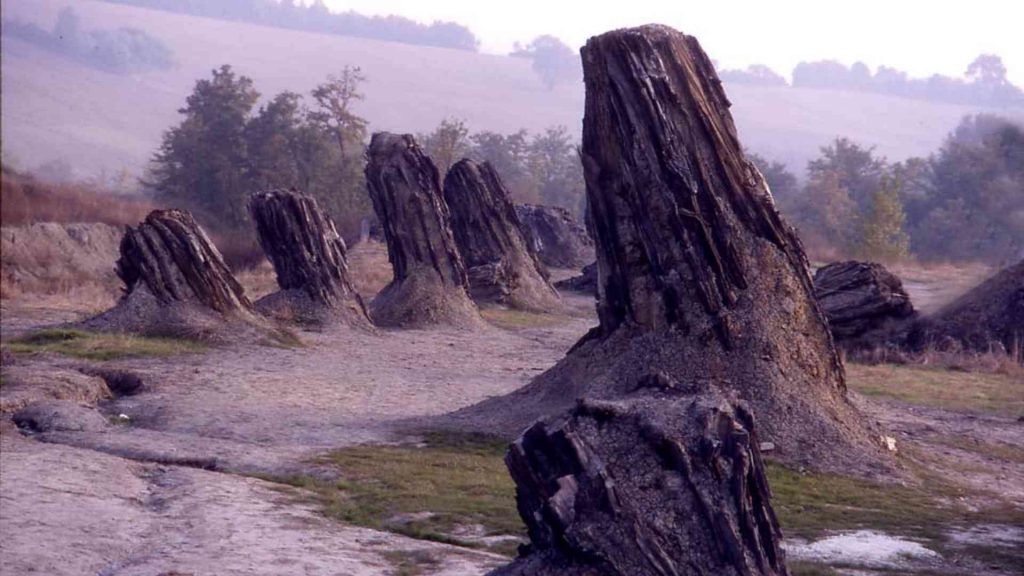 Scorcio della Foresta Fossile di Dunarobba ad Avigliano Umbro