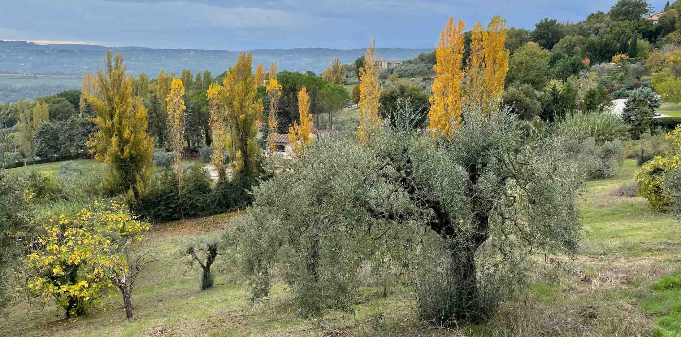 13 novembre 2022, Penna in foliage, esperienze di San Martino.
